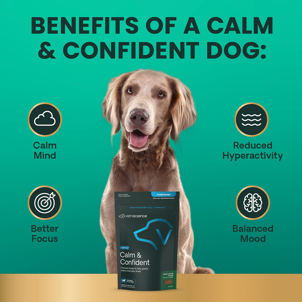 Calm & Confident Chews for Dogs | Peanut Butter Flavor