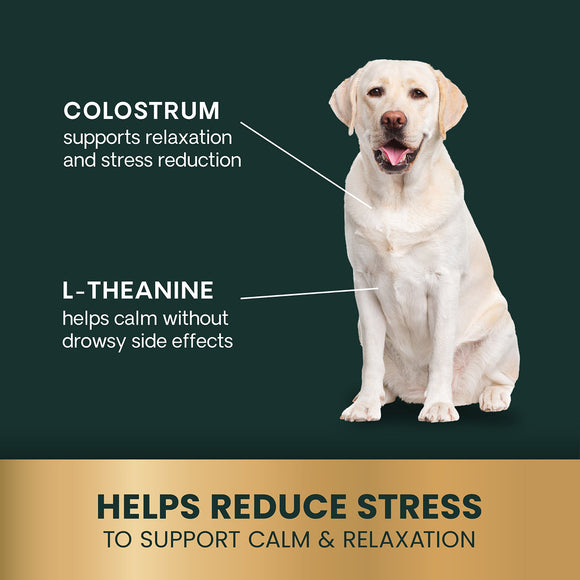 Calm & Confident Chews for Dogs Peanut Butter Flavor