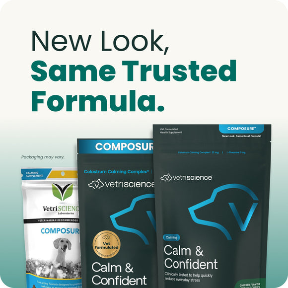 Calm & Confident Chews for Dogs Peanut Butter Flavor - Dog Supplements & Vitamins 7