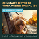 Calm & Confident Chews for Dogs Peanut Butter Flavor