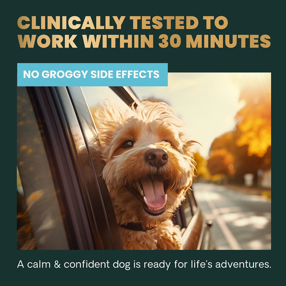Calm & Confident Chews for Dogs Peanut Butter Flavor