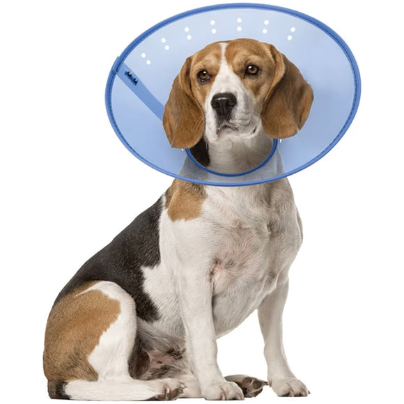 Calm Paws Calming E-Collar for Dogs - Medium - Dog Calming & Anxiety Aids 2