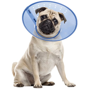 Calm Paws Calming E-Collar for Dogs - Small - Dog Calming & Anxiety Aids 1