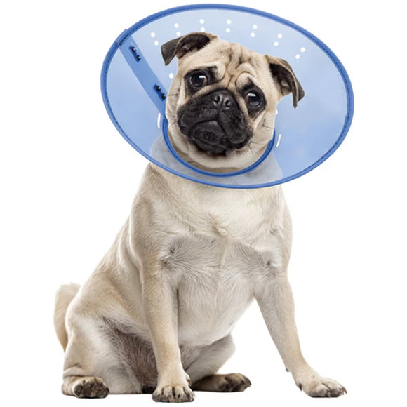 Calm Paws Calming E-Collar for Dogs - Small - Dog Calming & Anxiety Aids 1