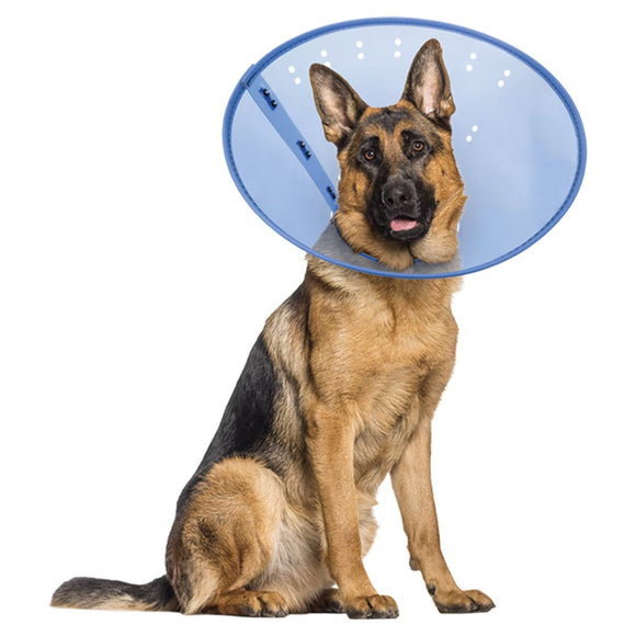 Calm Paws Calming E-Collar for Dogs - X-Large - Dog Calming & Anxiety Aids 4