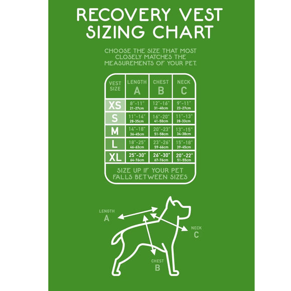 Calm Paws Calming Recovery Vest for Dogs - Dog Calming & Anxiety Aids 9
