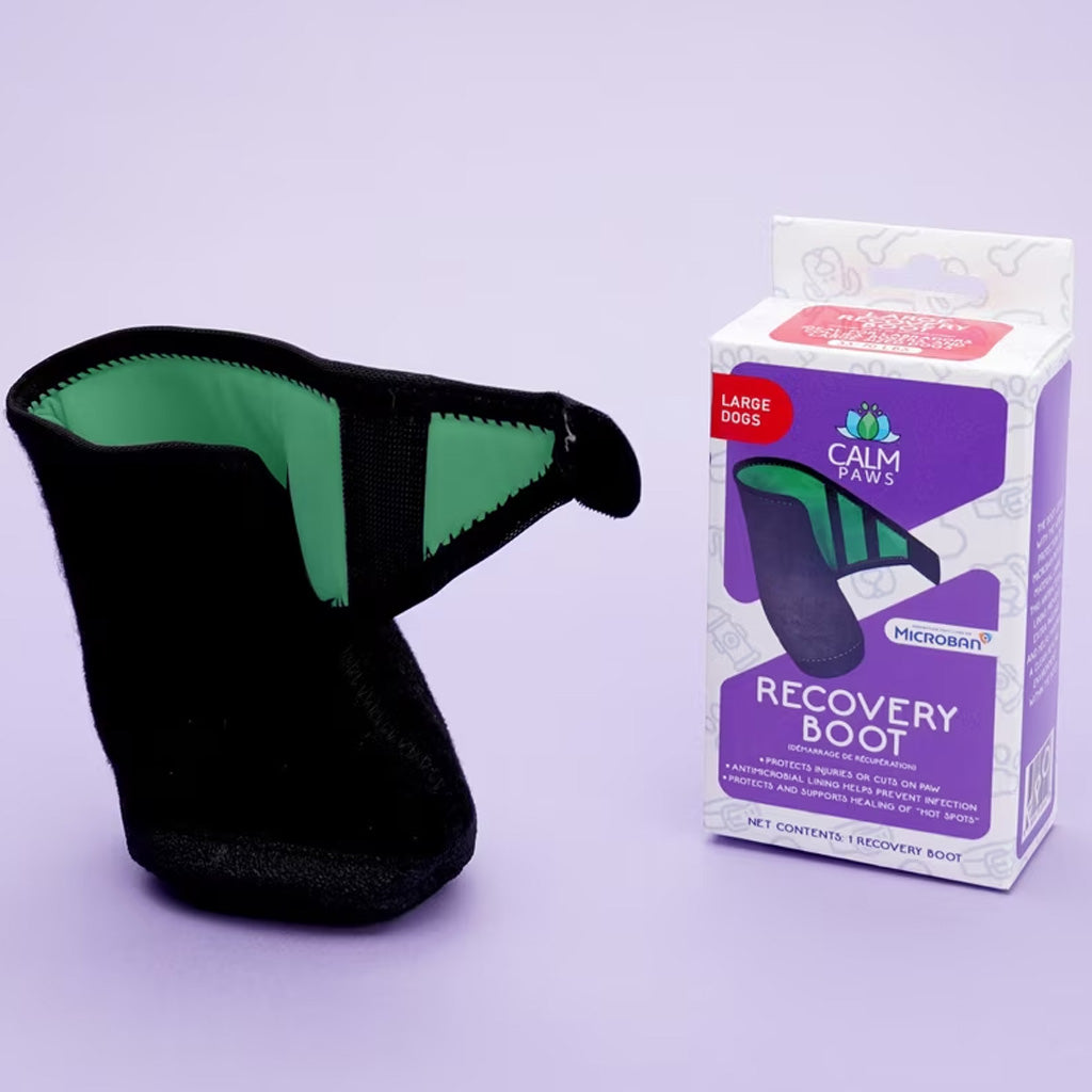 Calm Paws Recovery Dog Boot | Protective Paw Cover