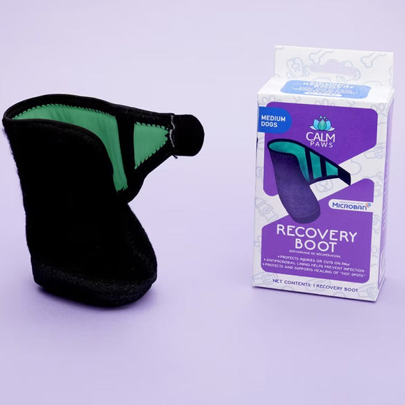 Calm Paws Recovery Dog Boot - Medium - Dog Clothing & Apparel 3