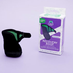 Calm Paws Recovery Dog Boot - X-Small - Dog Clothing & Apparel 1