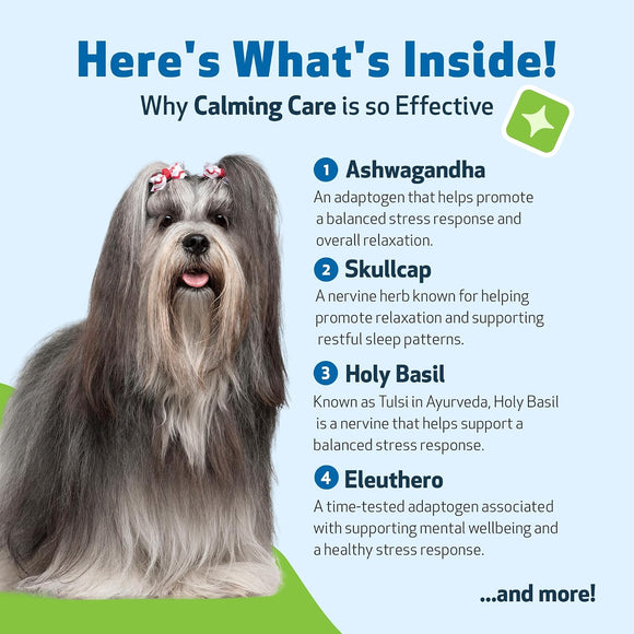 Calming Care Anxious Behavior for Dog (2 oz) - Dog Health Care & Wellness 8