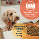 Canidae All Life Stages Lamb & Ancient Grains Dog Food