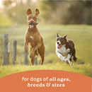Canidae All Life Stages Wet Dog Food, Chunky Stew Toppers, Multi-Protein & Vegetable Recipe, 12.7 oz.