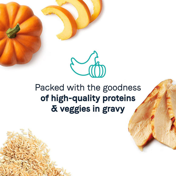 Pumpkin, sliced pumpkin, rice, and a dish with text about high-quality proteins and veggies in gravy on a white background.