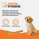 Canine Naturals Hide Free PUPPY Chicken Recipe Rolls Treats (2 Large Rolls) For Dog