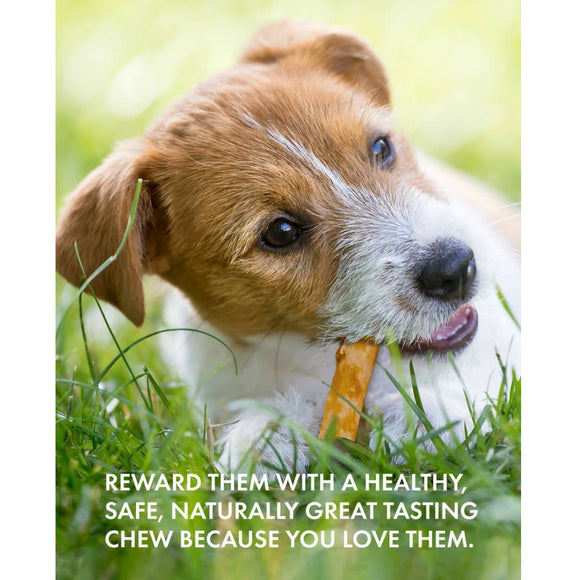 Canine Naturals Hide Free Peanut Butter Flavor Rolls Dog Treats (2 Medium Rolls)