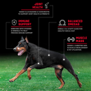 CanineX Grain Free Beef Dry Dog Food