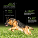 CanineX Grain Free Chicken Dry Dog Food