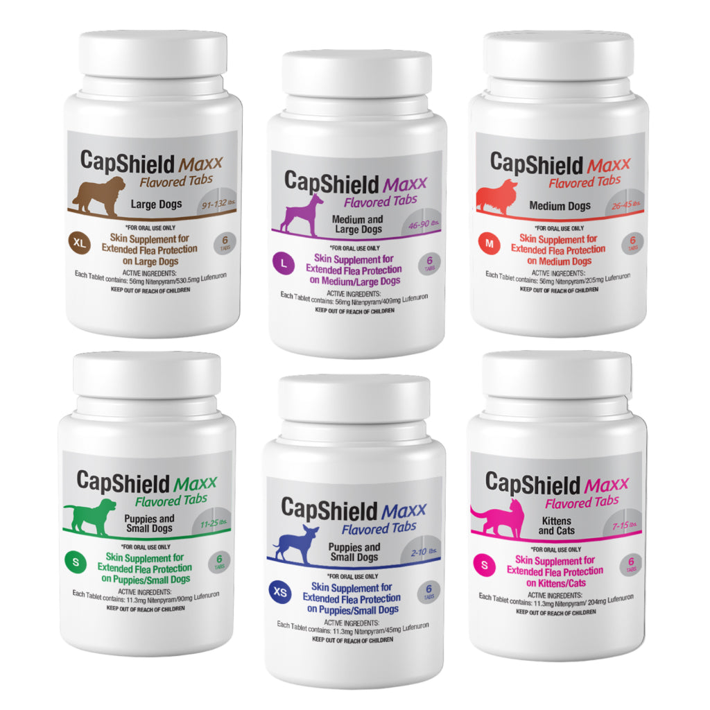 CapShield Maxx Flea Protection Monthly Control Tablets Dogs