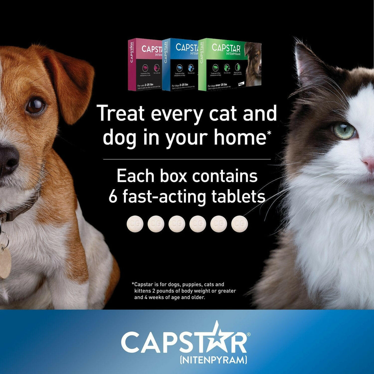 Say Goodbye to Fleas: Capstar Oral Treatment for Cats 2-25 lbs