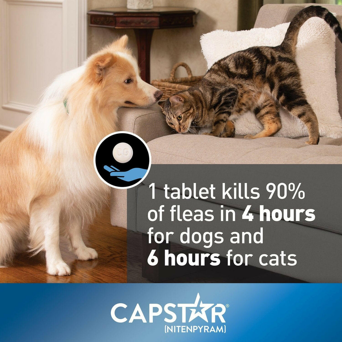 Say Goodbye to Fleas: Capstar Oral Treatment for Cats 2-25 lbs