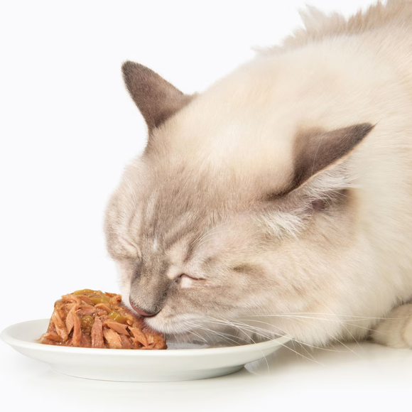 Catit Fish Dinner with Salmon & Green Beans Wet Cat Food (2.8 oz) - Cat Food 3
