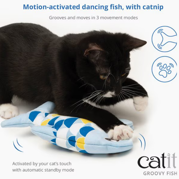 Catit Groovy Fish Motion-Activated Catnip Cat Toy Blue - Interactive Cat Toys 2