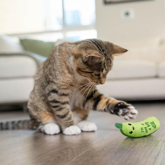 Catstages Crunchy Pickle Kicker Plush Cat Toy with Catnip - Plush Toy 7