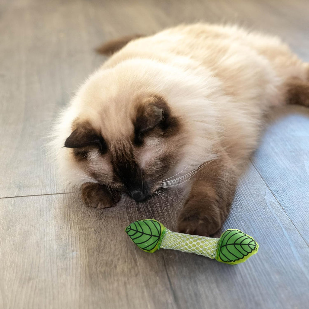 Catstages Fresh Breath Mint Stick Cat Dental Chew Toy