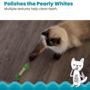 Catstages Fresh Breath Mint Stick Cat Dental Chew Toy