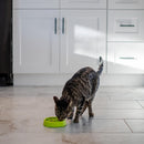 Catstages Kitty Slow Feeder-Green