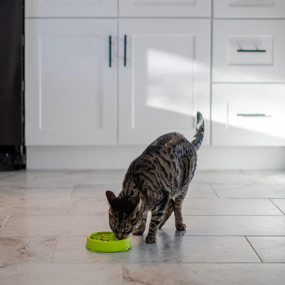 Catstages Kitty Slow Feeder-Green
