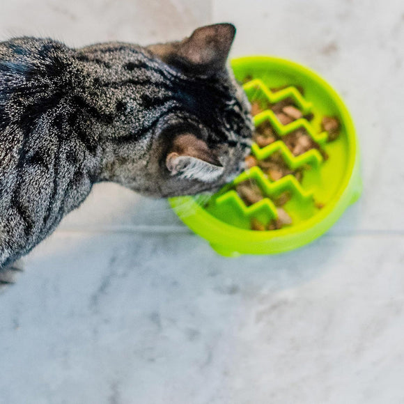 Catstages Kitty Slow Feeder-Green