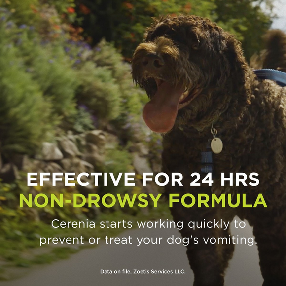 Cerenia (Maropitant Citrate) Tablets for Dogs - Anti Nausea Medication - Pet Medicine 3
