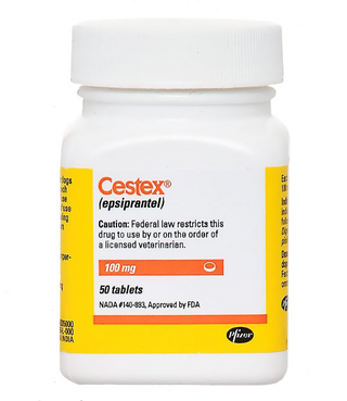 Cestex 100mg Tablets