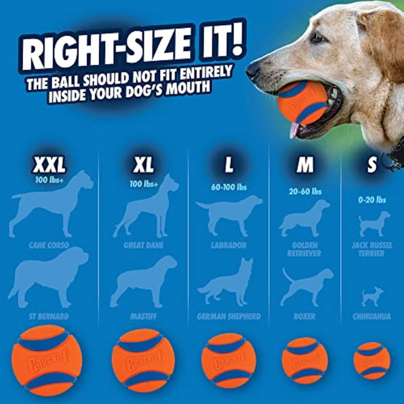 Chuckit! Bucket with 8 Medium Balls Toy For Dogs -Ultra - Dog Toys 4
