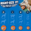 Chuckit! Tennis Ball Toy for Dogs - Dog Toys 3
