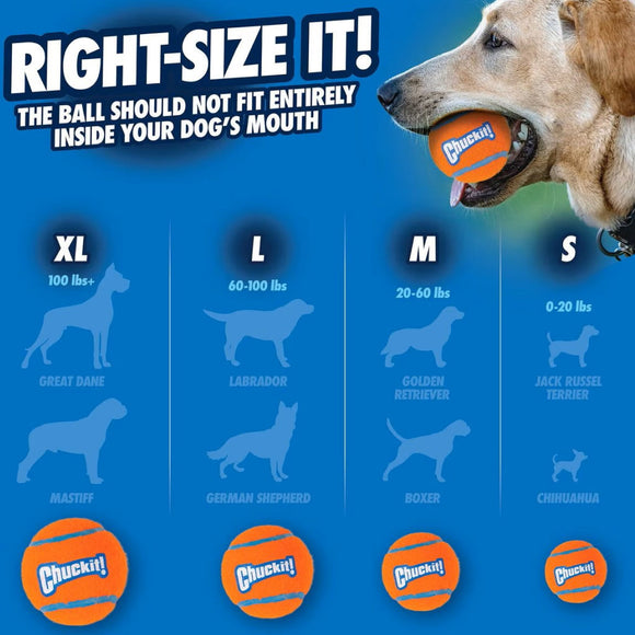 Chuckit! Tennis Ball Toy for Dogs - Dog Toys 3