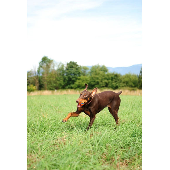 Chuckit! Ultra Ball Toy For Dogs - Small (2 pack)