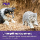 CitraVet Potassium Citrate Tablets For Dogs & Cats (60ct) - Kidney & Bladder Supplements 5