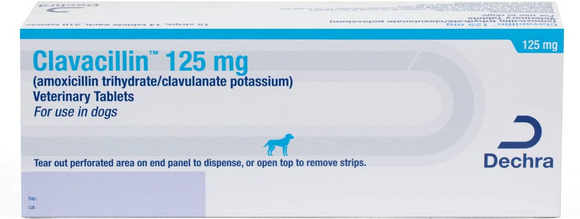 Clavacillin 125mg