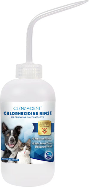 Clenz-a-dent Chlorhexidine Rinse for Dogs & Cats 8-oz - All Dog Dental Care 1
