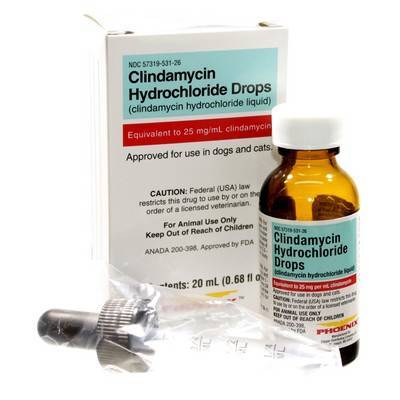 Clindamycin 25mg/ml Oral Drops (20ml) (Manufacturer may vary) - Pet Medicine 7