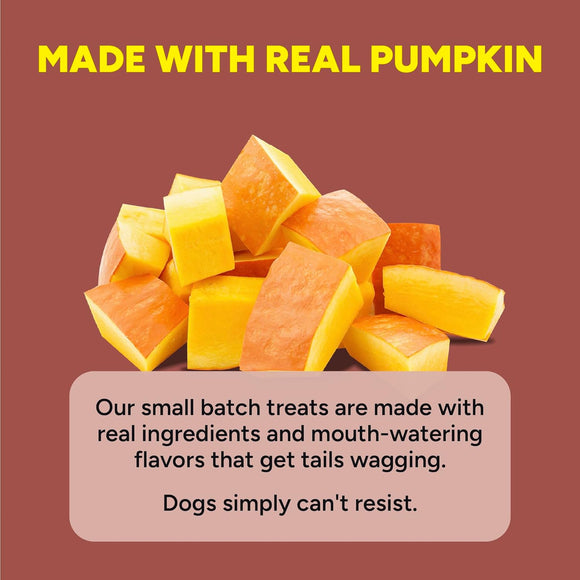 Cloud Star Dynamo Dog Tummy Soft Chews with Probiotic & Pumpkin