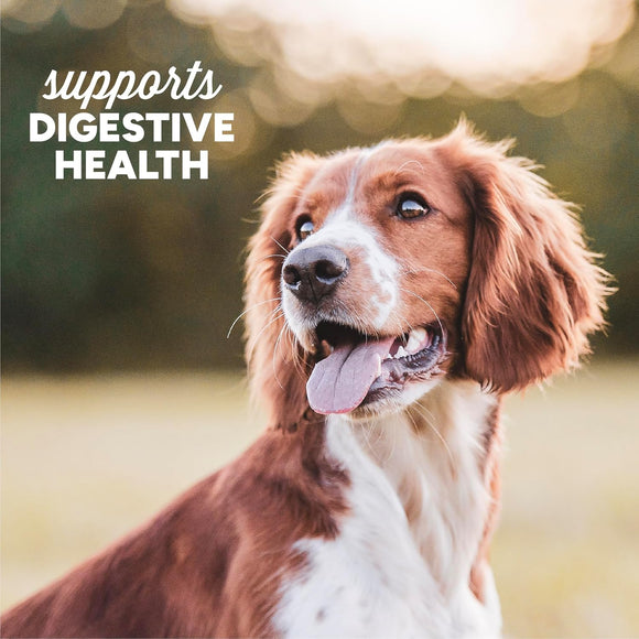 Cloud Star Dynamo Dog Tummy Soft Chews with Probiotic & Pumpkin
