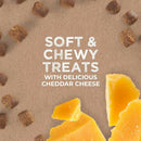 Cloud Star Tricky Trainers Chewy Dog Treats Cheddar (14 oz)