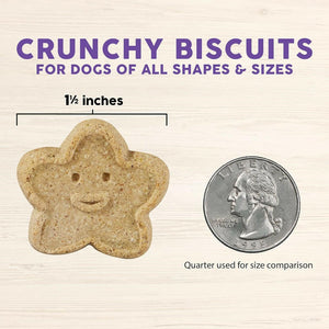 Cloud Star Wag More Bark Less Grain-Free Assorted Flavors Crunchy Dog Treats (2.5 lb)