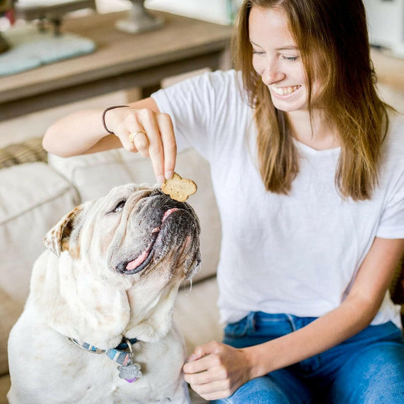 Cloud Star Wag More Bark Less Grain-Free Chicken & Sweet Potato Crunchy Dog Treats (14 oz)