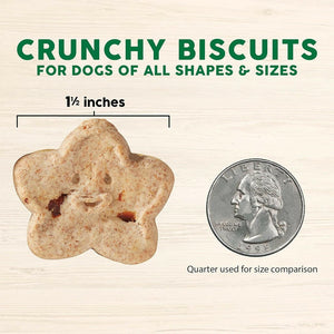 Cloud Star Wag More Bark Less Grain-Free Chicken & Sweet Potato Crunchy Dog Treats (14 oz)