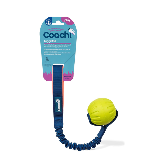Coachi Tuggi Ball Dog Toy - Dog Toys 1