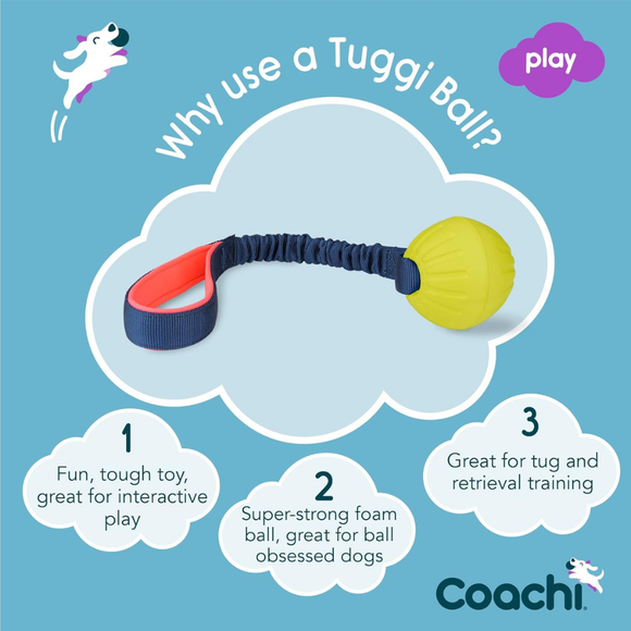 Coachi Tuggi Ball Dog Toy - Dog Toys 2